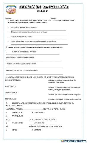 Examen castellano 4