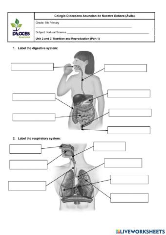 Unit 2 and 3 (6th) Part 1