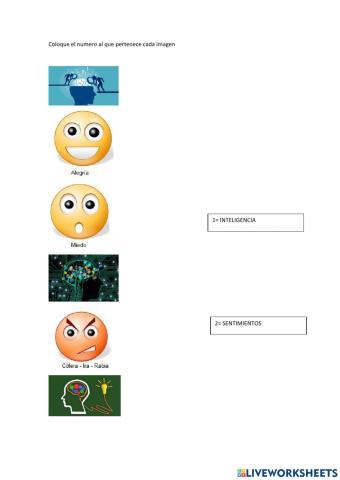 Inteligencia y Sentimientos