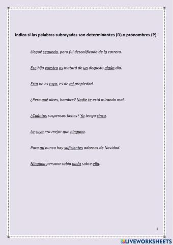 Determinantes y pronombres