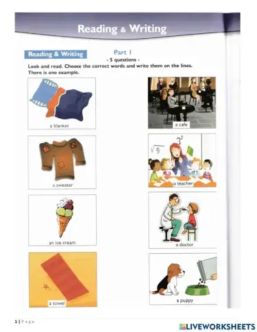 Succeed in movers - Reading test 7