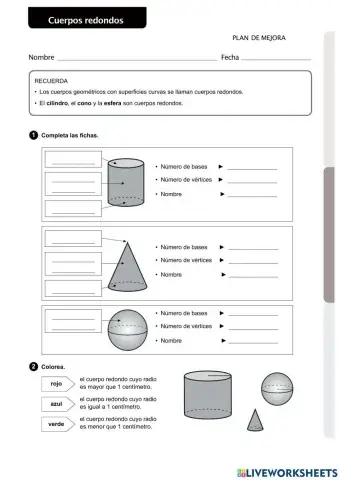 Cuerpos redondos (P52)