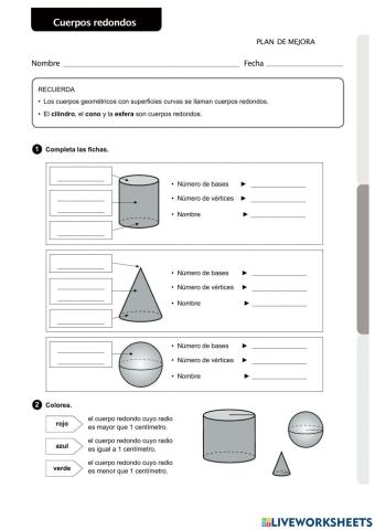 Cuerpos redondos (P52)