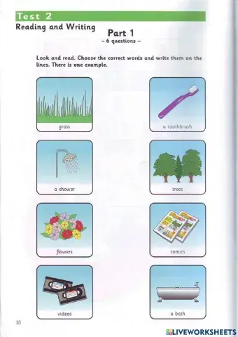 Movers - Test 2.1 - Book 3 - Reading + Writing