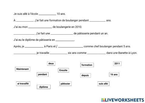 Parcours professionnel