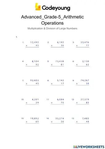 Advanced-Multiplication & Division of Large Numbers