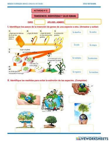 12. Transgenicos, biodiversidad y salud humana