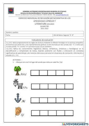 Evaluación l. literatura