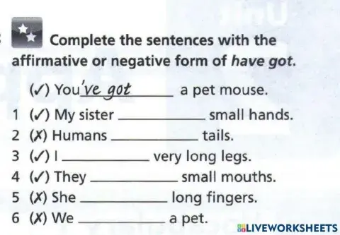 Have got Vs. haven't got