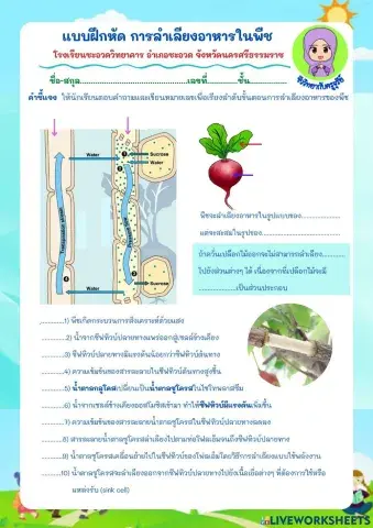 การลำเลียงอาหารในพืช