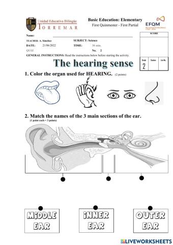 The hearing sense