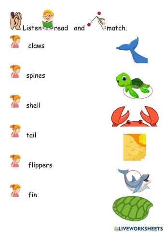 Sea animals - Body parts