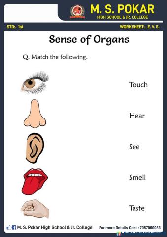Sense of organs