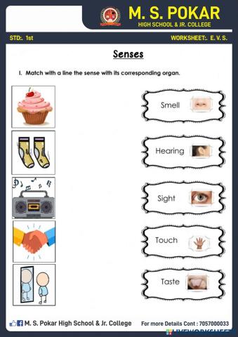 Five senses
