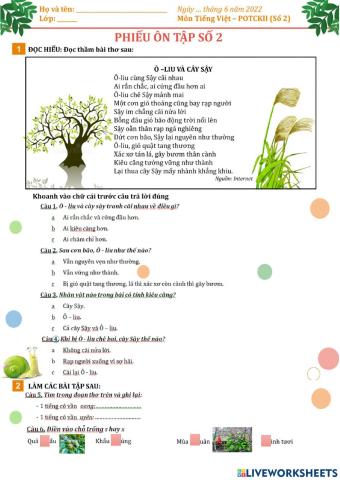 Phiếu ôn tập cuối kì 2 số 2