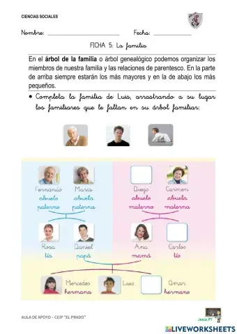 Ficha 5 La familia-1EP-Ciencias Sociales