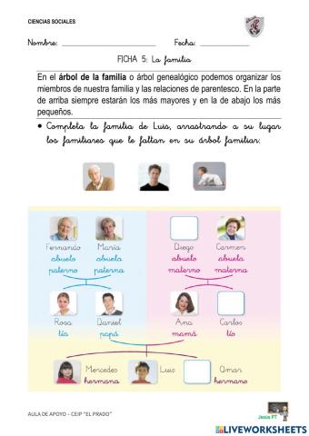 Ficha 5 La familia-1EP-Ciencias Sociales