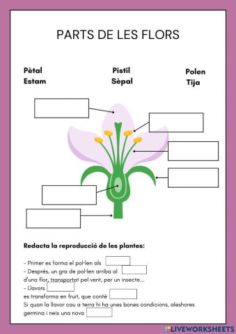 Les parts de la planta i la reproducció