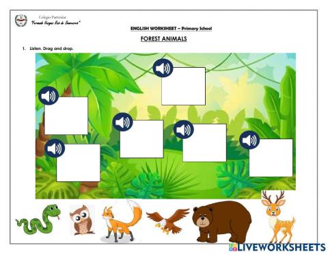 Forest animals