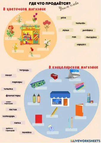 Цветы. Школьные принадлежности