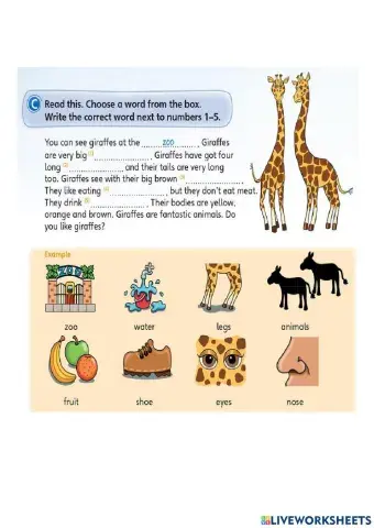 Reading - giraffe