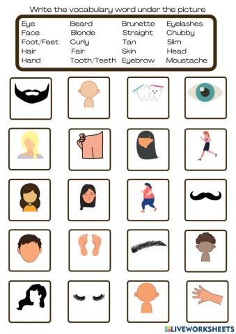 Face and Body Vocabulary