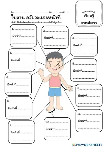 อวัยวะภายนอก ป.1