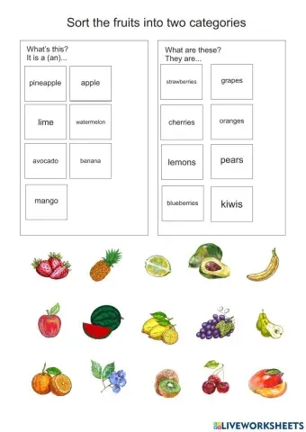 Fruits + plural and singular updated