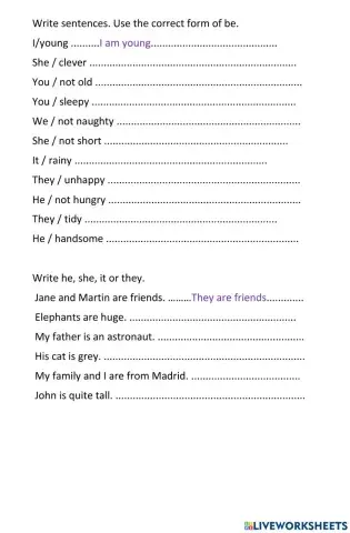 Present Simple - Verb To Be