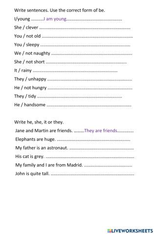 Present Simple - Verb To Be