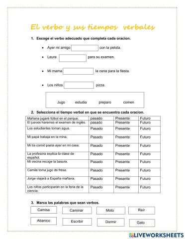 El verbo y los tiempos verbales