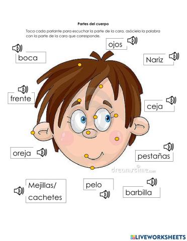 Partes de la cara y del cuerpo