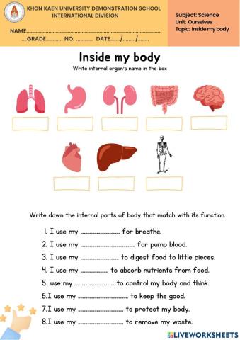 Internal part of body