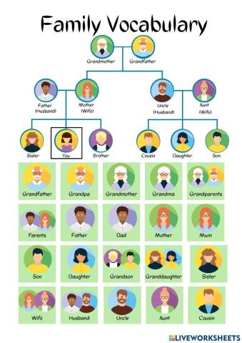 Family Vocabulary