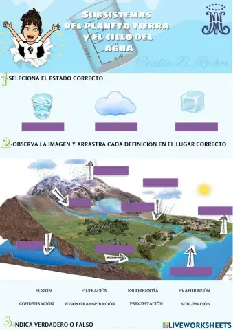 El ciclo hidrológico