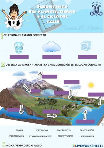 El ciclo hidrológico