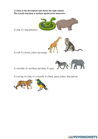 African animals