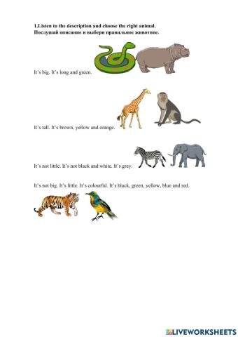 African animals