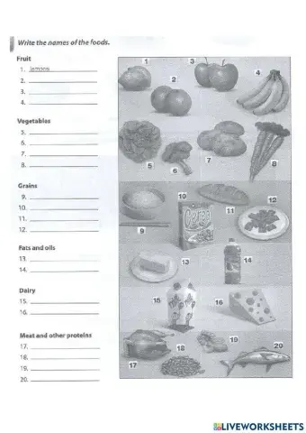 Lesson 22 - Adverbs of frequency