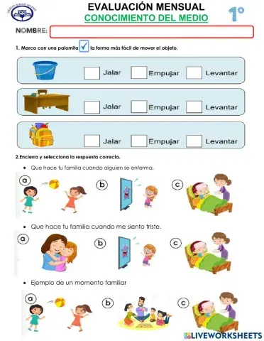 Conocimiento del medio
