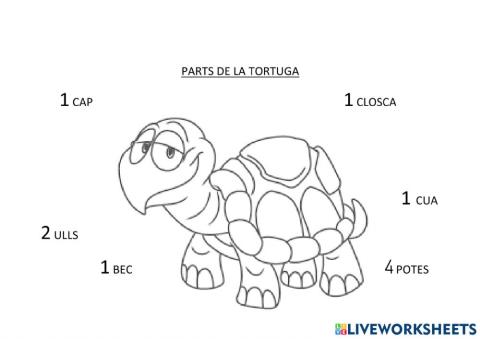 La tortuga