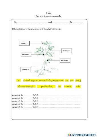 โครงสร้างของพืช