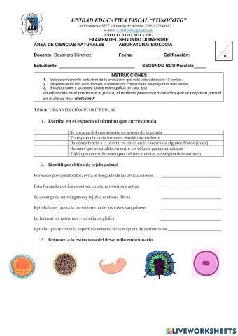 Examen Quimestral II BIOLOGÍA