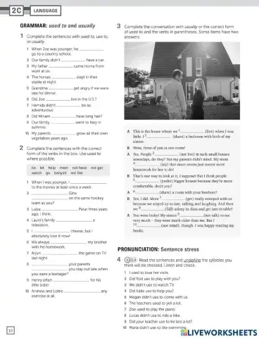 Homework - used to - usually