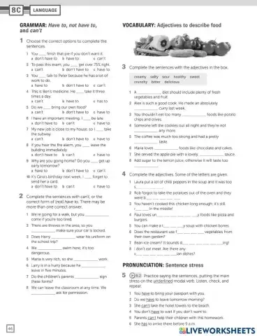Homework - food adjectives
