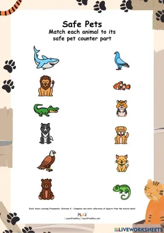 We Found A Cat - Safe Pets