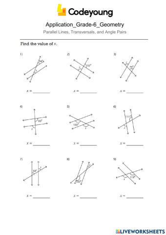 Parallel Lines, Transversals and Angle Pairs Application