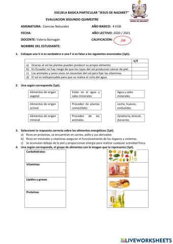 Evaluación ciencias naturales 4egb