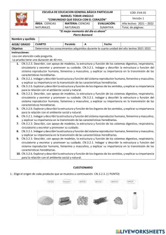 EVALUACIÓN CCNN 4TO 