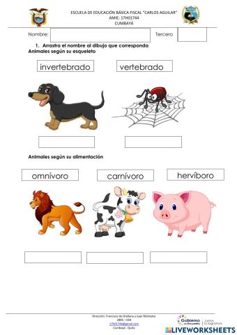 Evaluación segundo quimestre ciencia naturales